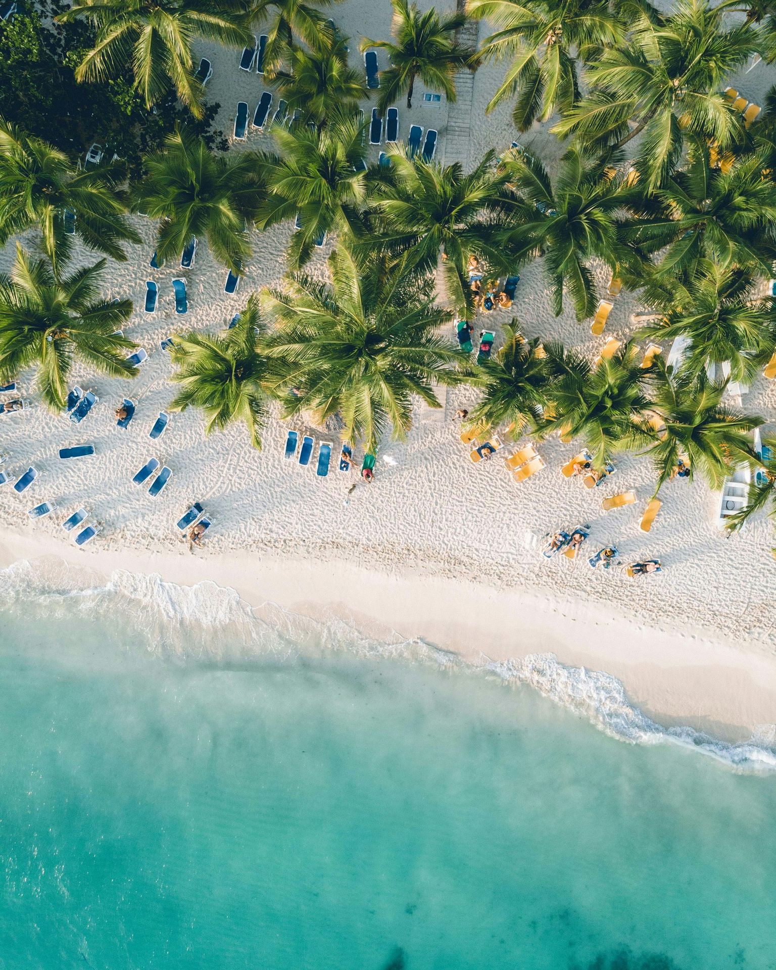 an aerial view of a beach with chairs and palm trees